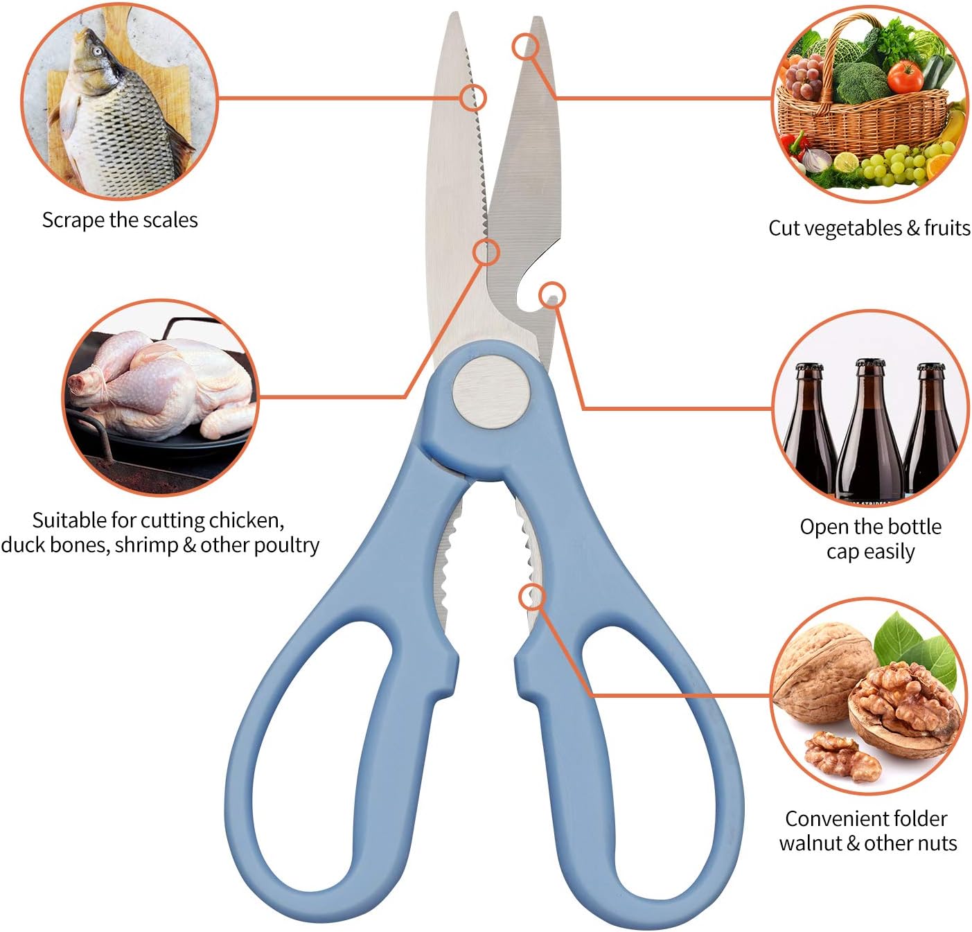Kitchen Scissors Review 
