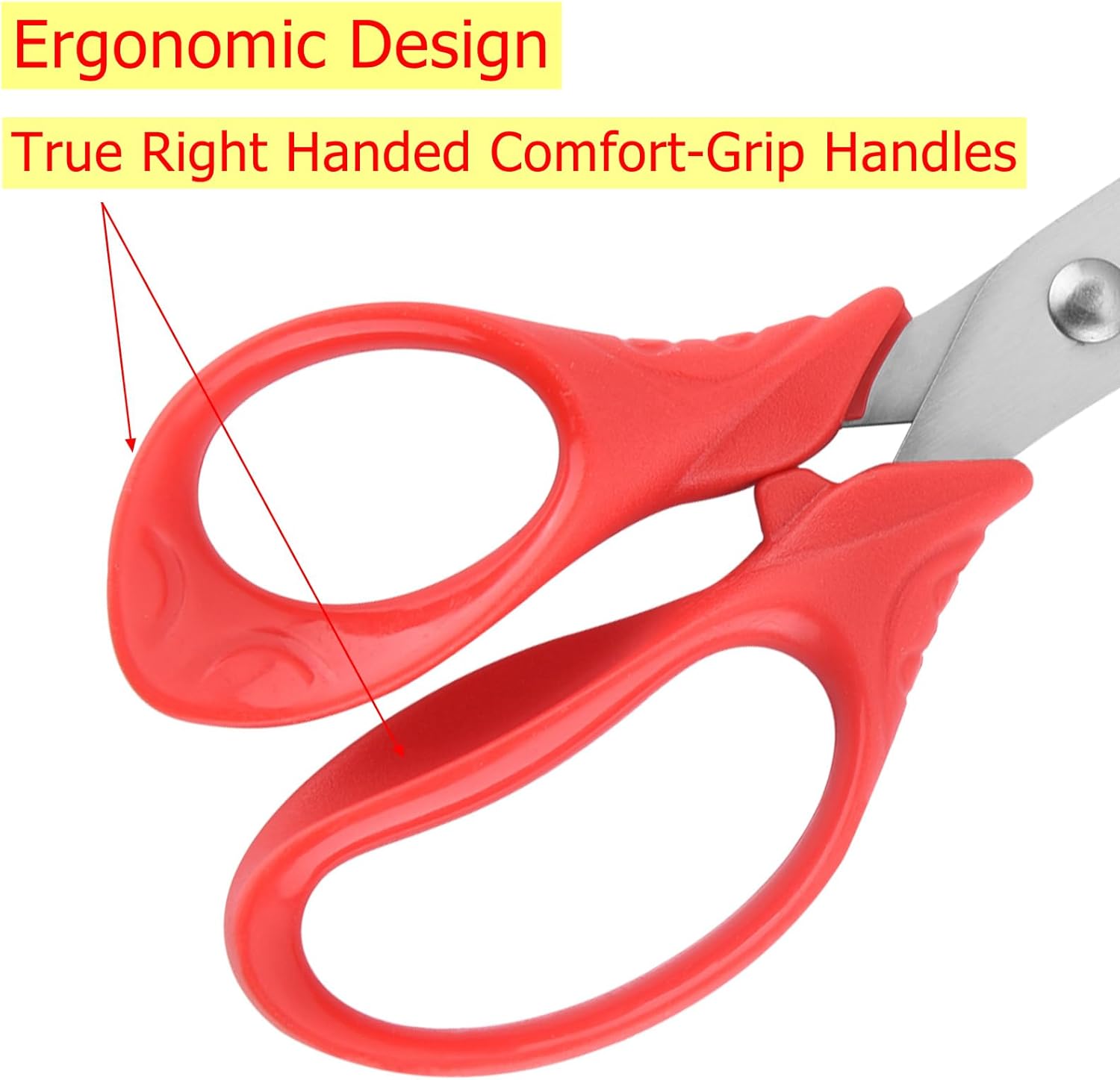 OneName Left-Handed Kids Scissors Review